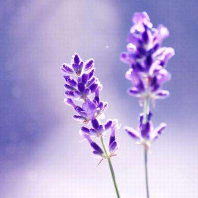 b体育官方入口在线登录网站