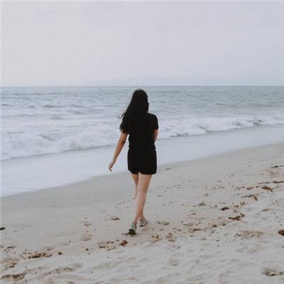 bob·体育综合app