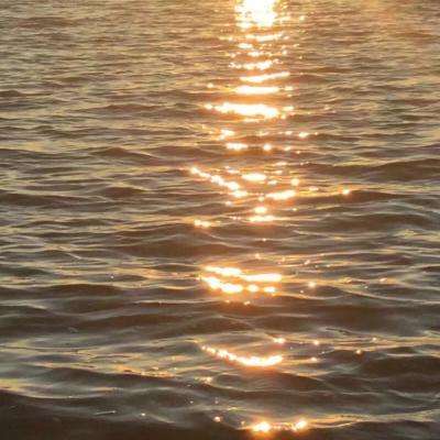 神彩争霸8下载手机版